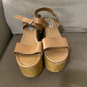 Steve Madden platform sandals